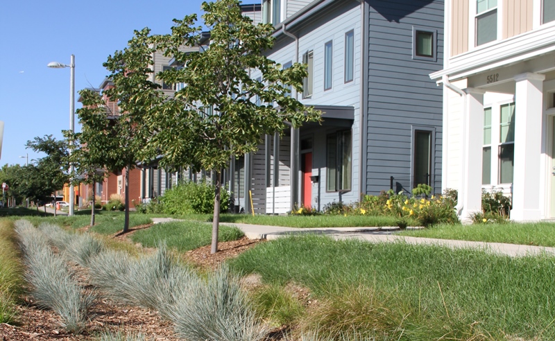 Westlawn Gardens Bioswales